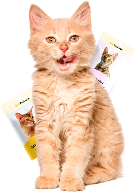 cat1.png